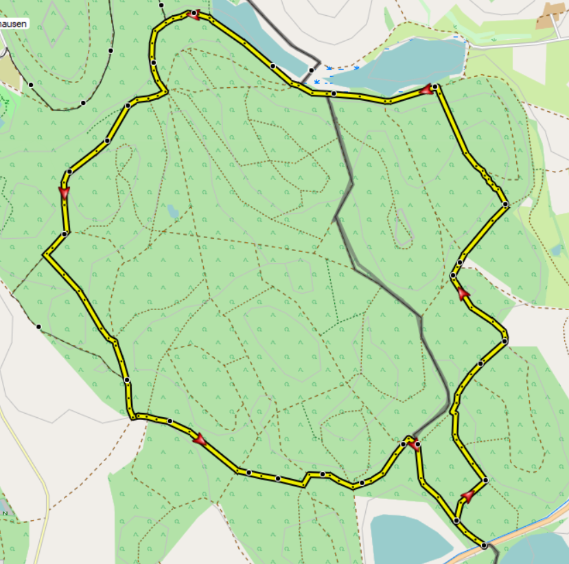 Waldwanderung MÃ¼hlhofen