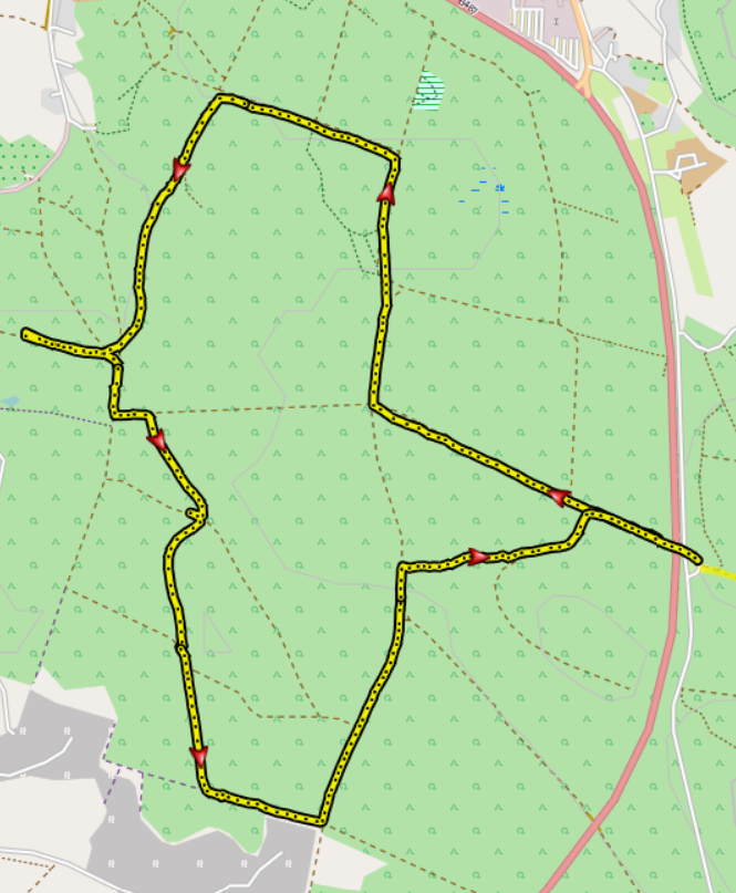 Waldwanderung Reutenen 2