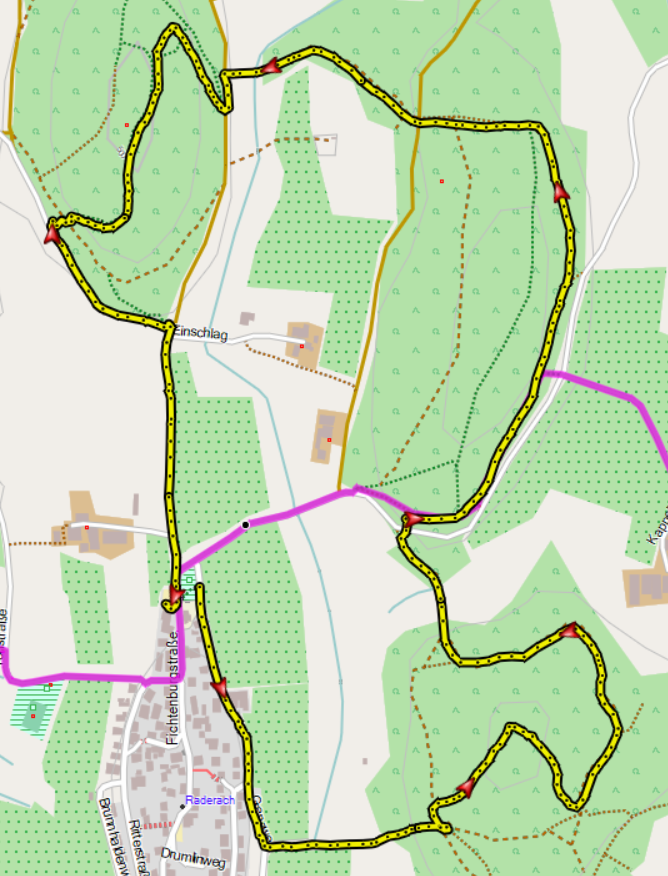 Waldwanderung Raderach