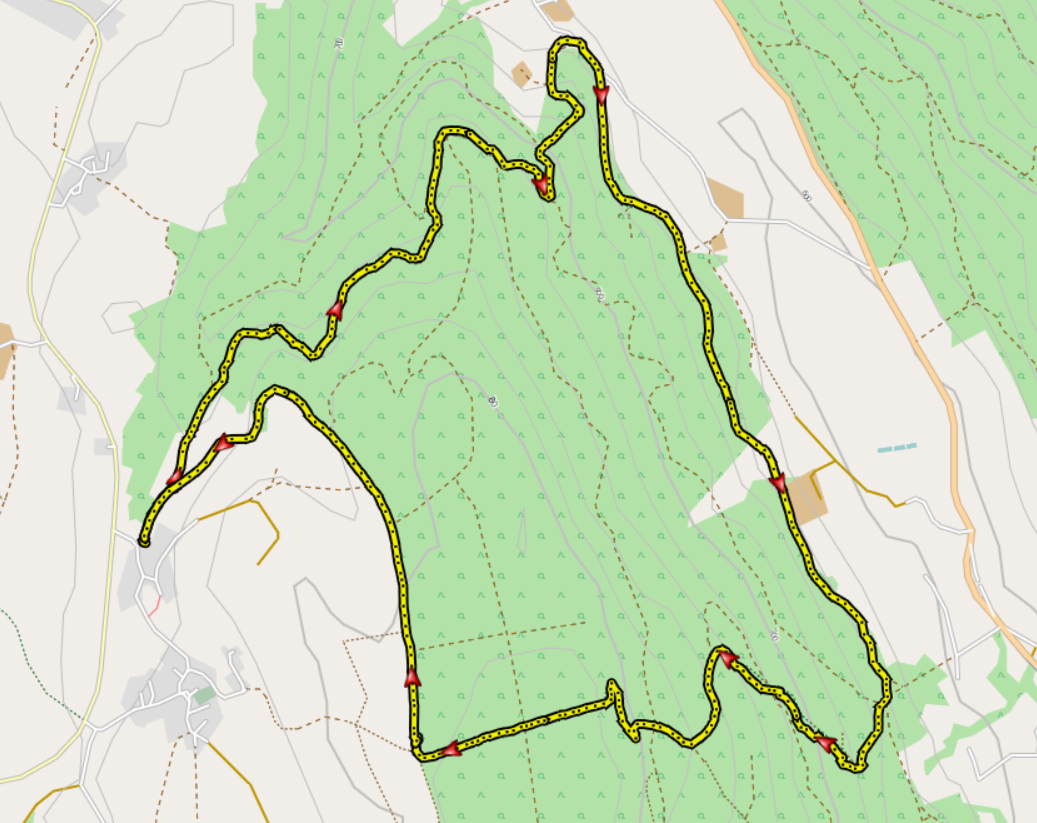 Waldwanderung Betenbrunn
