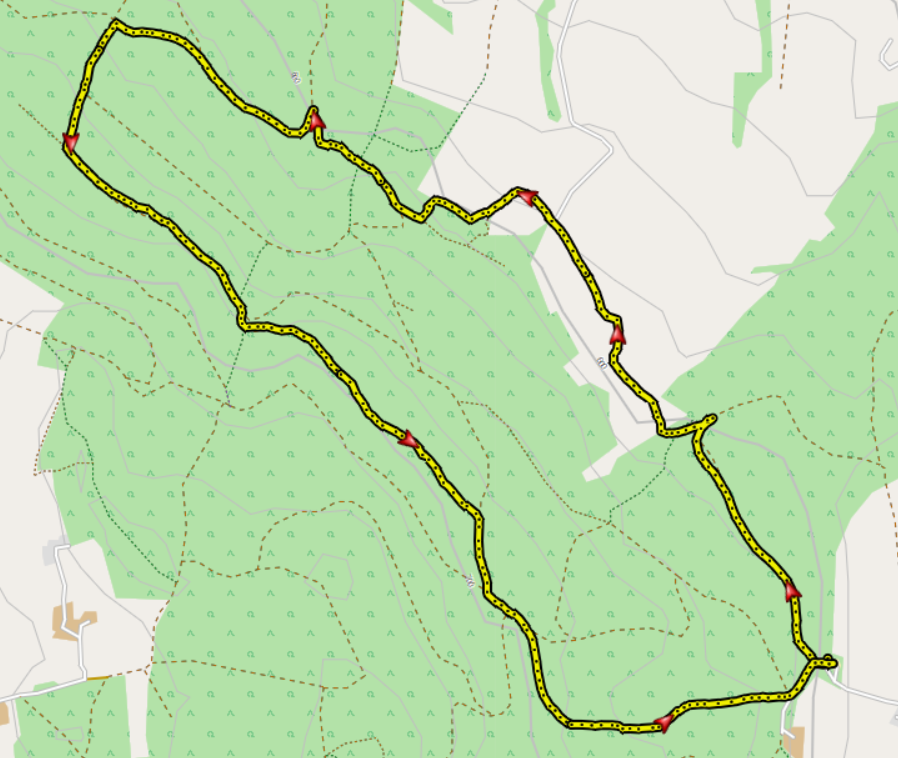 Waldwanderung Gangenweiler