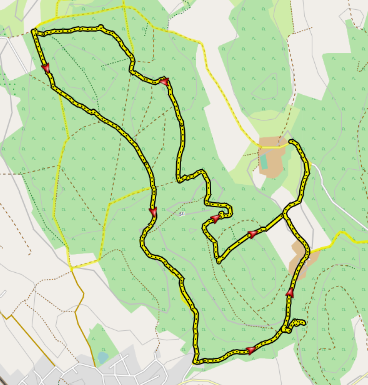 Waldwanderung Bermatingen